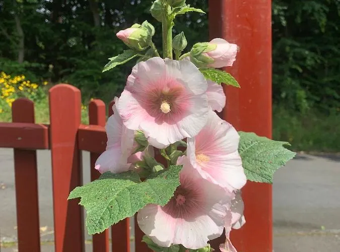 Rhoener Wohnen Prázdninový dům